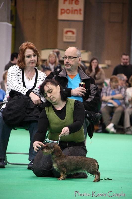 Crufts2011_2 1092.jpg